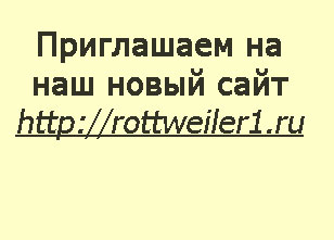Rottweiler#1 :: Russen Rottenschild